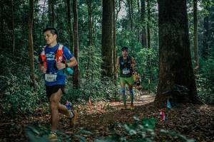 BIB: 
                            <button type="button" onclick="openModal(26127872)" class="btn btn-primary btn-sm float-right btn-popup" data-toggle="modal" data-target=".modal-high-quality">
                        <i class="fas fa-shopping-cart"></i> Add to Cart
                    </button>
                                            <button type="button" onclick="isThisMe(26127872, true)" class="btn btn-success btn-sm float-right btn-popup btn-isme hidden" data-toggle="tooltip" data-placement="bottom" title="นี่คือรูปของคุณใช่ไหม คลิกที่นี่เพื่อเอาเข้าอัลบั้ม">
                        <i class="fas fa-plus"></i> Add to album
                    </button>
                    <button type="button" onclick="isThisMe(26127872, false)" class="btn btn-warning btn-sm float-right btn-popup btn-isnotme hidden">
                        <i class="fas fa-ban"></i> Remove from album
                    </button>